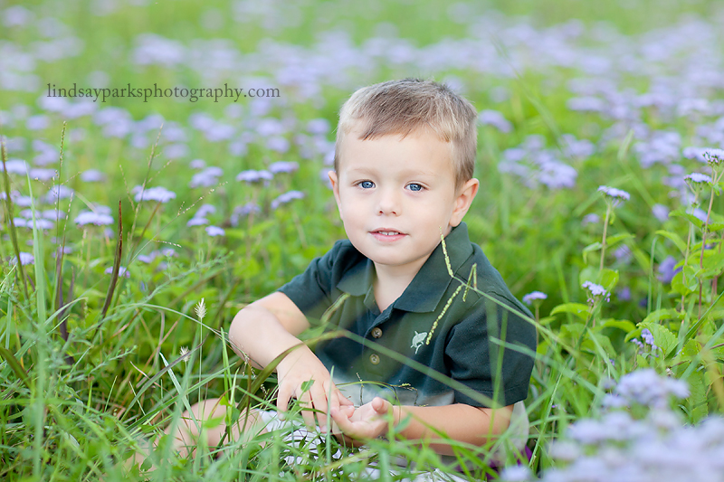 flowers106